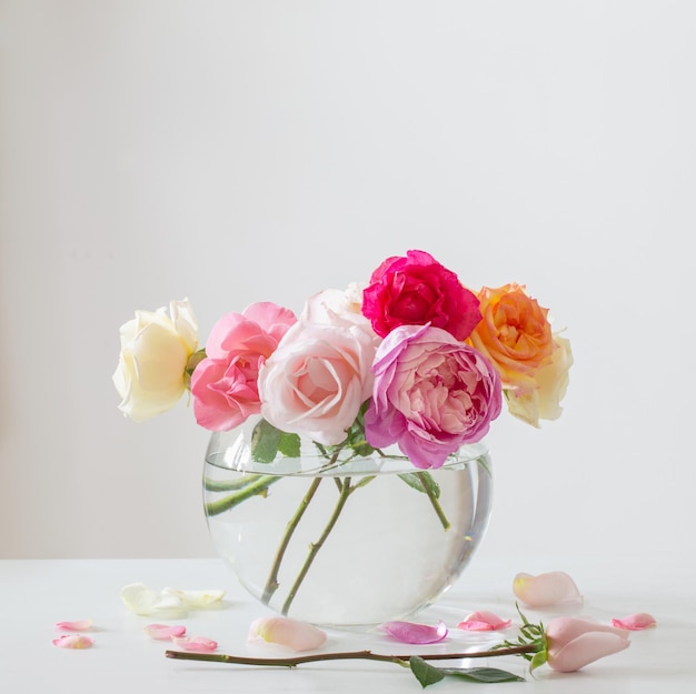 Belles roses dans un vase en verre rond sur fond blanc