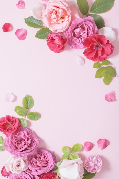 Belles roses sur fond de papier rose