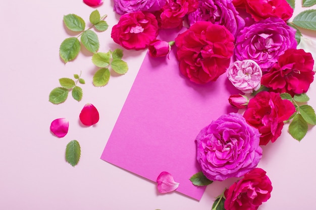 Belles roses sur fond de papier rose