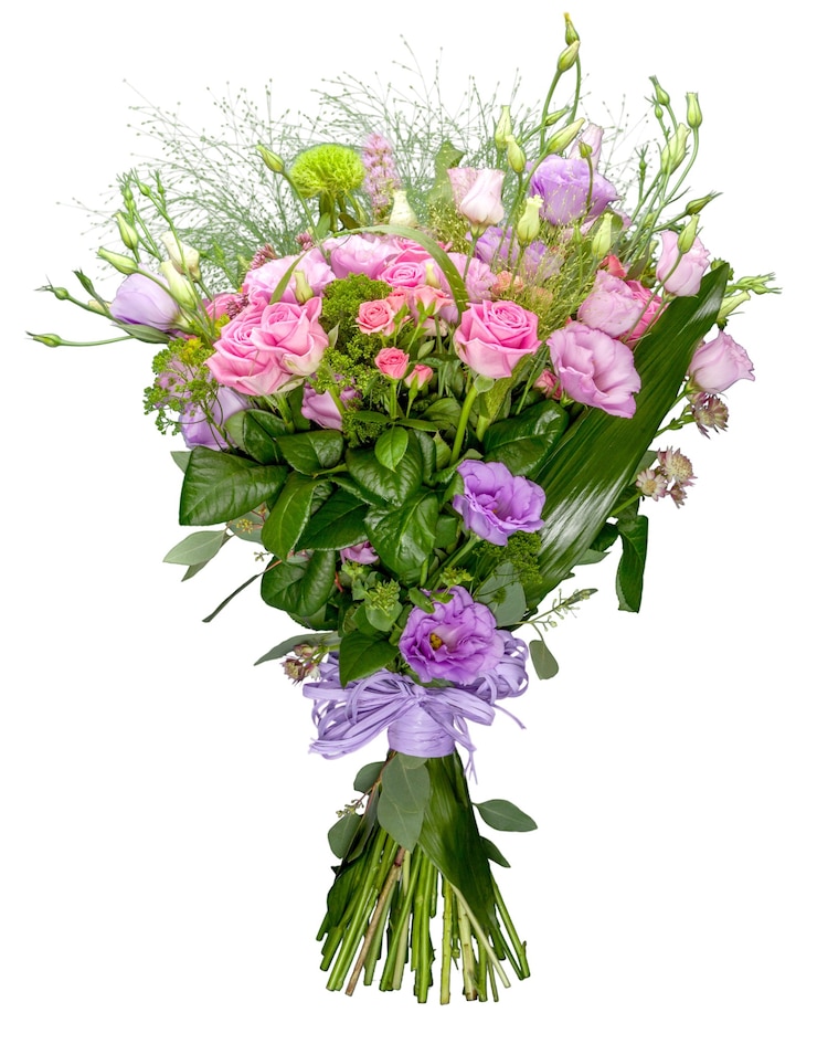 Photo belles roses roses sur fond