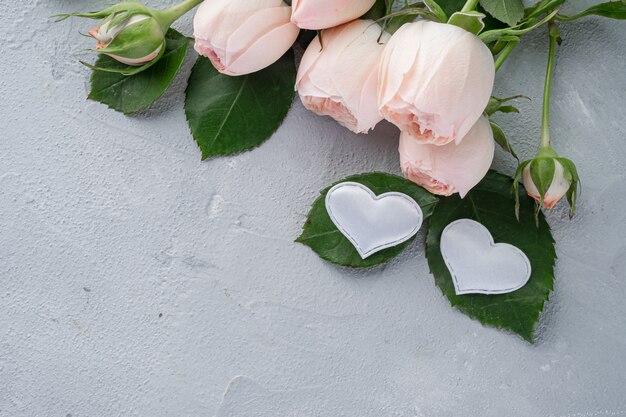 Belles roses roses touffues pivoine et deux coeurs blancs. Saint Valentin, le concept d'amour et de fidélité. Copiez l'espace.