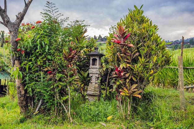 Belles terrasses de riz de Jatiluwih sur fond de célèbres volcans de Bali, Indonésie.