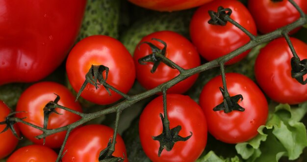 Belles tomates rouges juteuses.