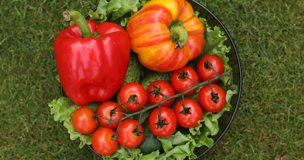 Belles tomates rouges juteuses.