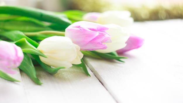 De belles tulipes blanches et violettes sur un fond en bois blanc le jour des femmes de printemps le jour de la Saint-Valentin