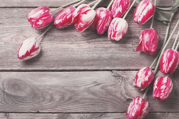 Belles tulipes sur bois