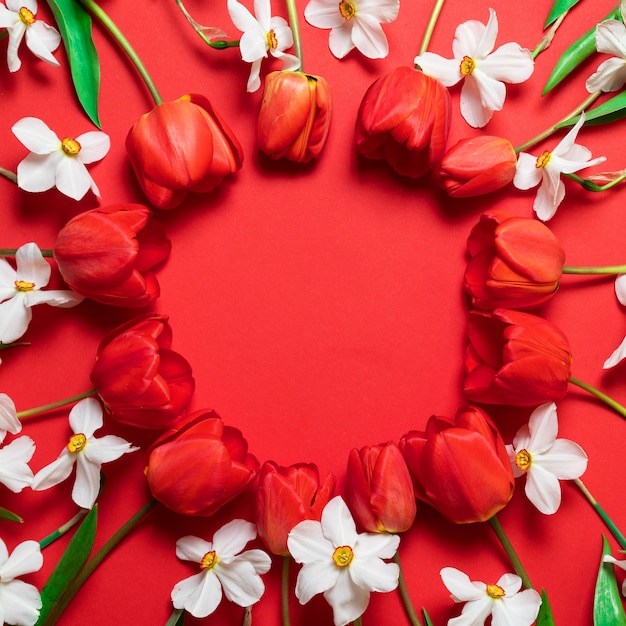 Belles tulipes colorées et jonquilles sur fond rouge. Carte de voeux bonne fête avec des fleurs de printemps.