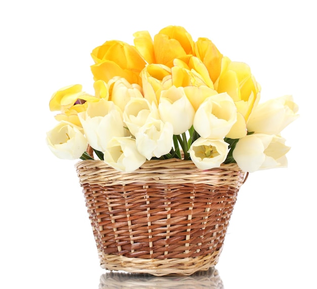 Belles tulipes dans panier isolated on white