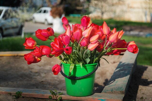 Belles tulipes de fleurs de printemps dans le seau sur la rue de la ville