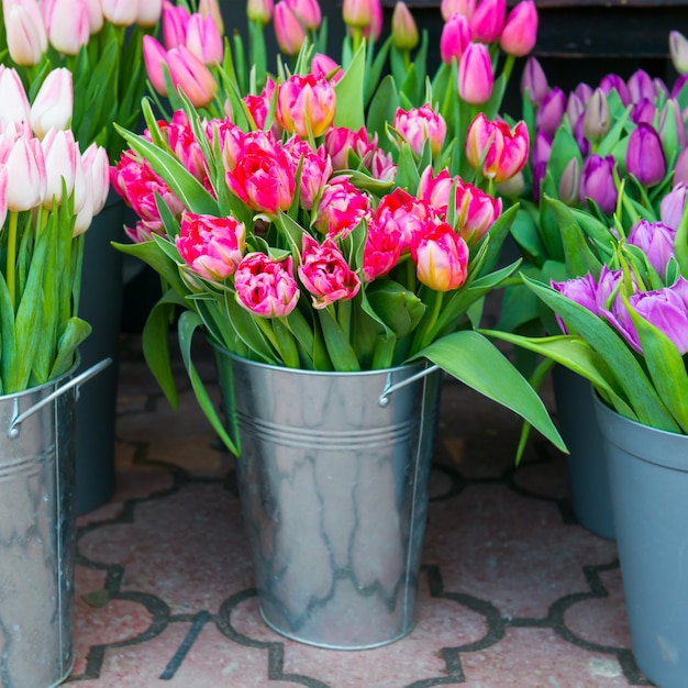 Belles tulipes de fleurs de ressort dans les seaux sur la rue de ville