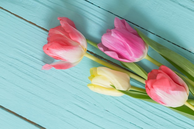 Belles tulipes sur fond en bois bleu