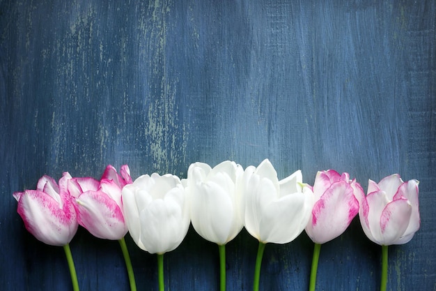 De belles tulipes sur un fond en bois