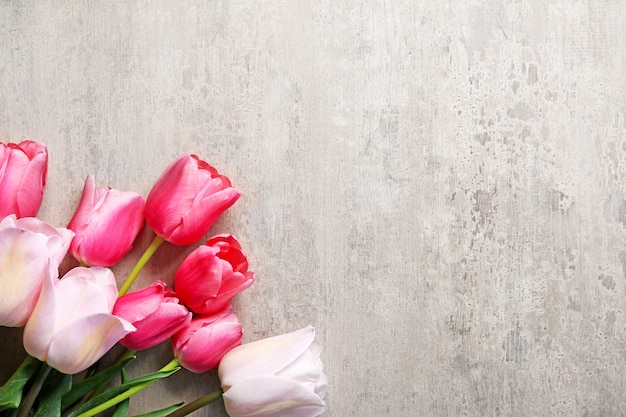 Belles tulipes sur fond gris