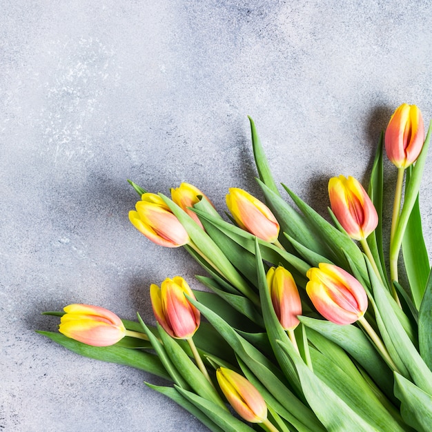 Belles tulipes jaunes orange