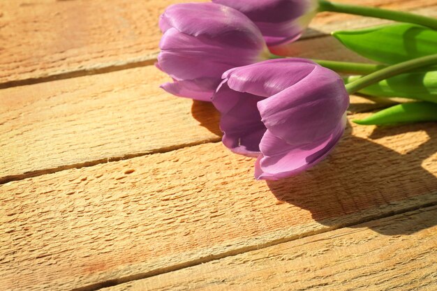 Belles tulipes lilas sur fond de bois libre