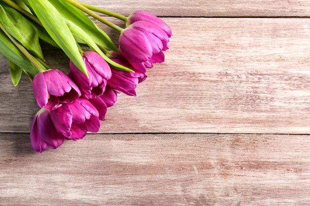 Belles tulipes lilas sur fond de bois