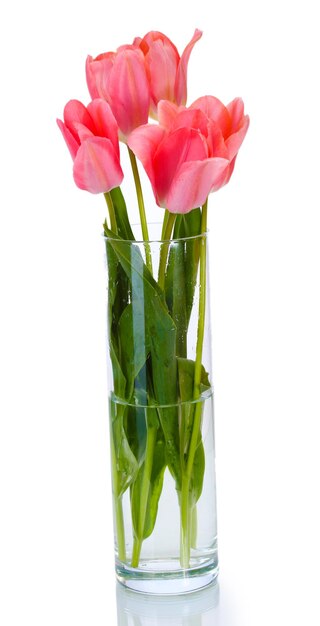 Belles tulipes roses dans un vase en verre isolé sur blanc