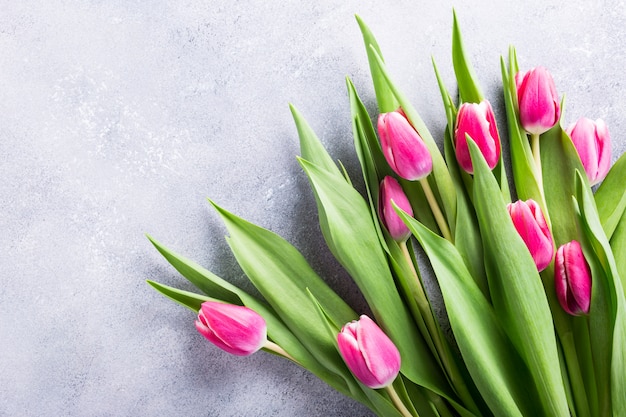 Belles tulipes roses jaunes