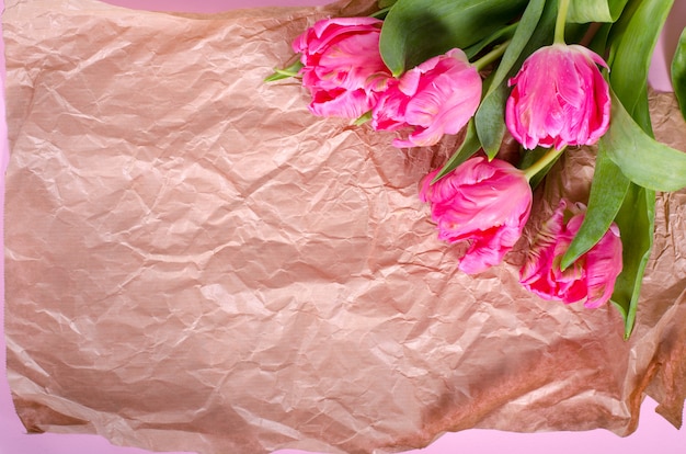 Belles tulipes roses en papier sur papier vintage.