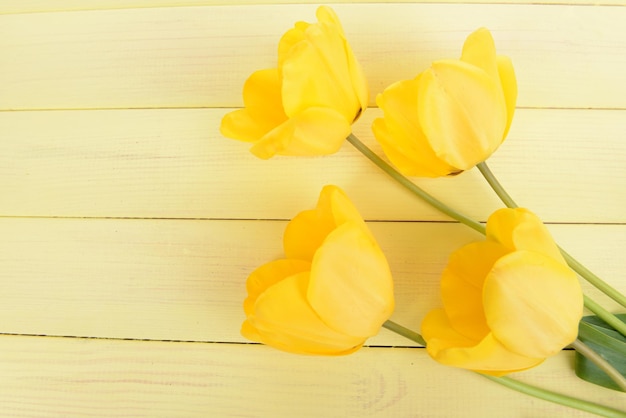 Belles tulipes en seau sur table close-up