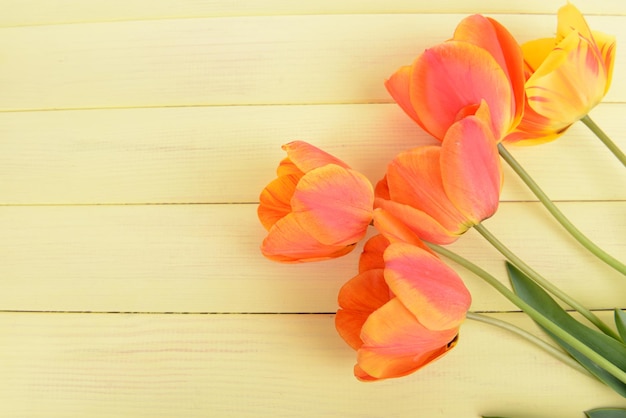 Belles tulipes en seau sur table close-up