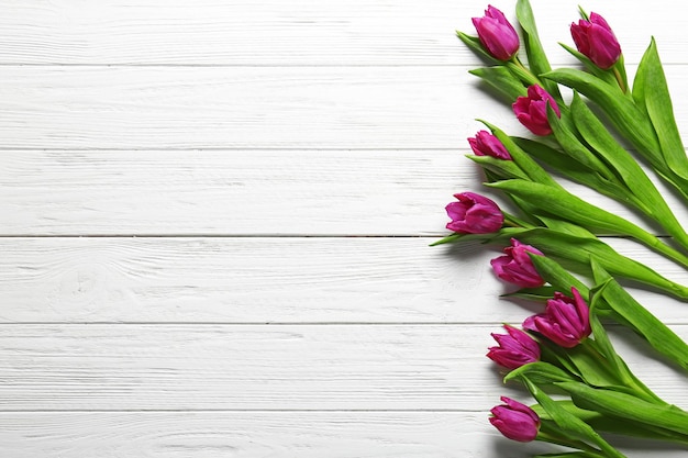 Belles tulipes violettes sur fond de bois blanc