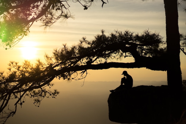 De belles vues sur le coucher de soleil reflètent la silhouette du pin et du touriste mâle.