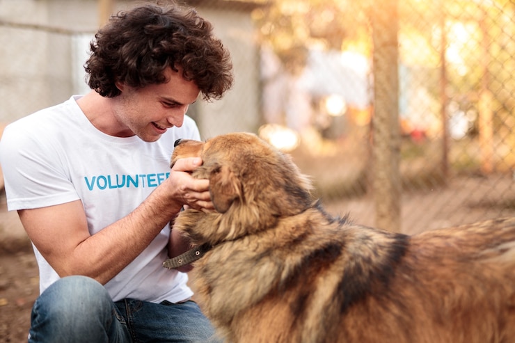 Photo bénévole prenant soin d'un chien en refuge