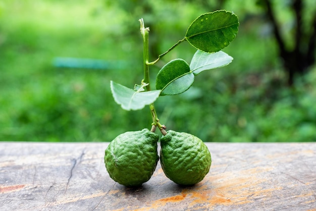 Bergamote avec feuille de jardin sur table en bois