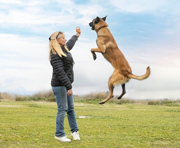 Berger belge et femme dans la nature