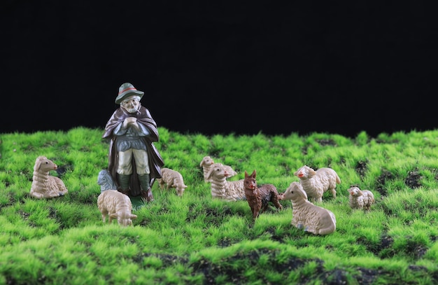 le berger fait paître les moutons
