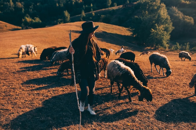 Photo berger femelle et troupeau de moutons à une pelouse