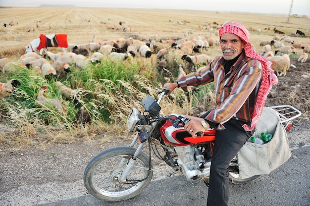 Berger de haut niveau en vélo