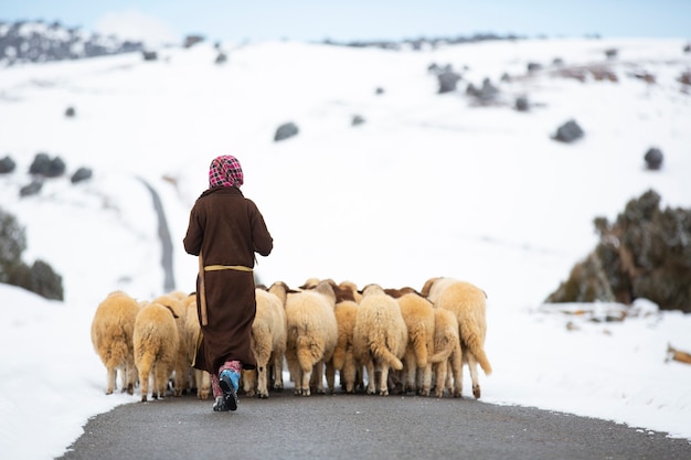 Photo berger de moutons dans les montagnes de l'atlas maroc