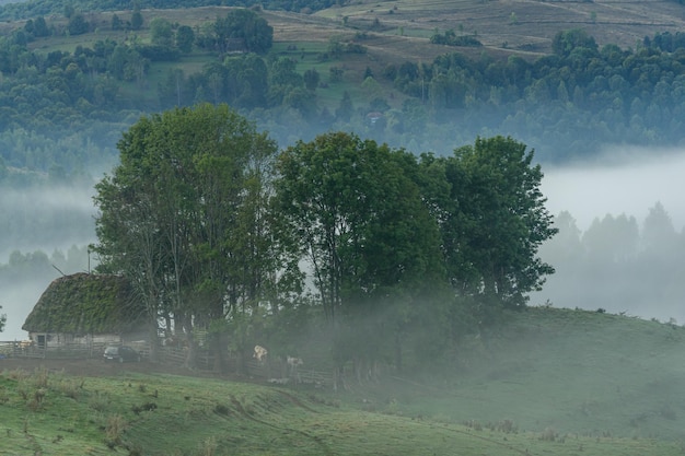 Bergerie rustique dans les montagnes Apuseni en Roumanie.