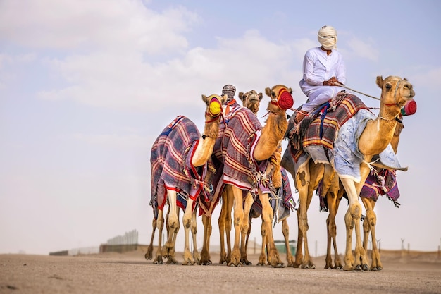 Photo des bergers avec des chameaux dans le désert