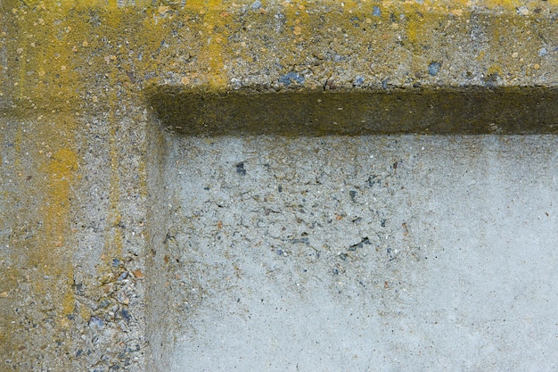 Béton de texture d'ardoise d'amiante recouvert de ciment naturel de matériau industriel de lichen et de mousse