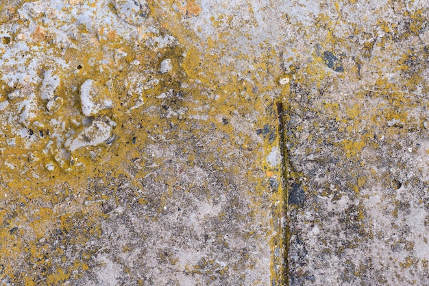 Béton de texture d'ardoise d'amiante recouvert de ciment naturel de matériau industriel de lichen et de mousse