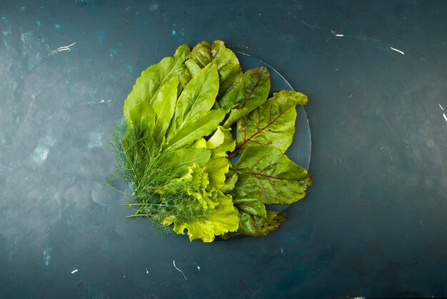 LA BETTERAVE QUITTE UN PEPIN FRAIS D'ANETLLES VERTES SUR UN BLEU. HERBES FRAICHES SUR UN PANNEAU DE BOIS ROND SUR LA SURFACE EN PIERRE.