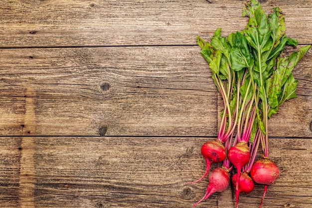 Betteraves mûres biologiques fraîches. Légumes de récolte d'automne. Concept de préparation d'aliments sains