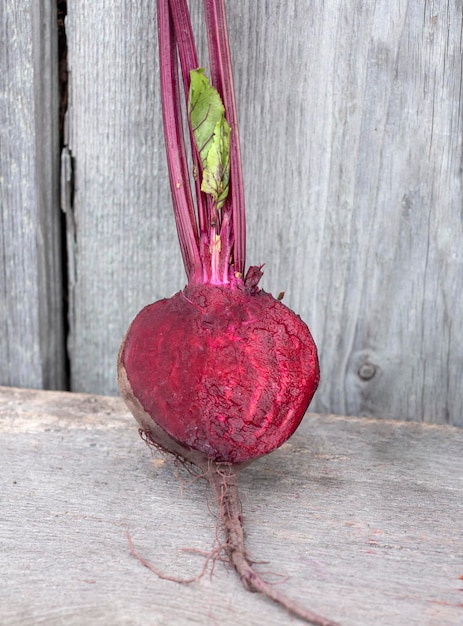 Betteraves rouges lavées avec des sommets dans une section sur un fond de planche de bois