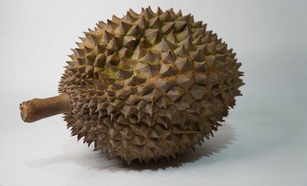 Bhineka Bawor est une variété de durian originaire de Banyumas, dans le centre de Java, célèbre pour sa douceur.