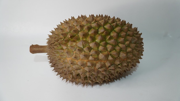 Bhineka Bawor est une variété de durian originaire de Banyumas, dans le centre de Java, célèbre pour sa douceur.