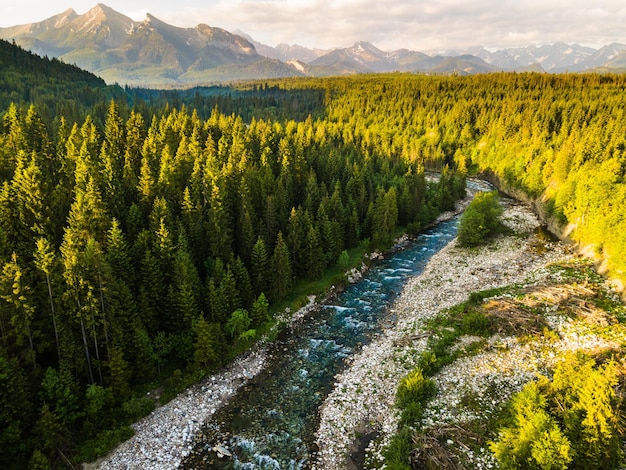 Bialka Tatra Mountains River à Podhale Pologne au lever du soleil