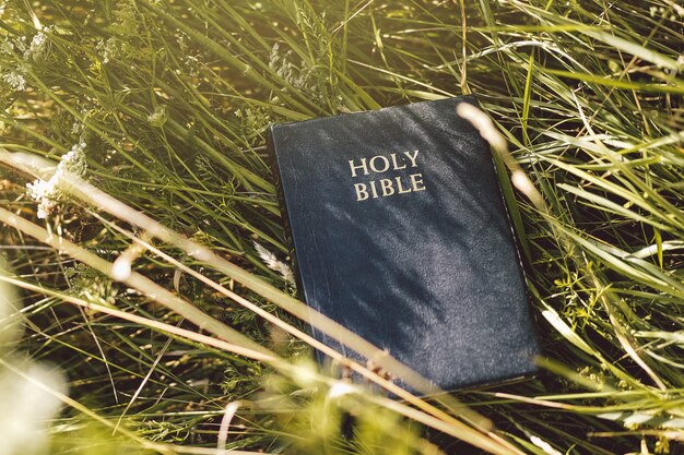 Bible dans l'herbe verte. Lire la Sainte Bible. Concept pour la foi, la spiritualité et la religion