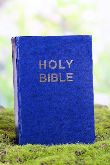 Bible sur l'herbe sur fond naturel