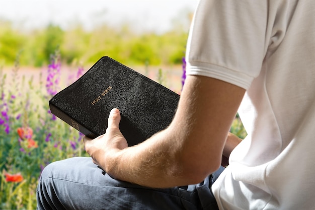 Bible et vue