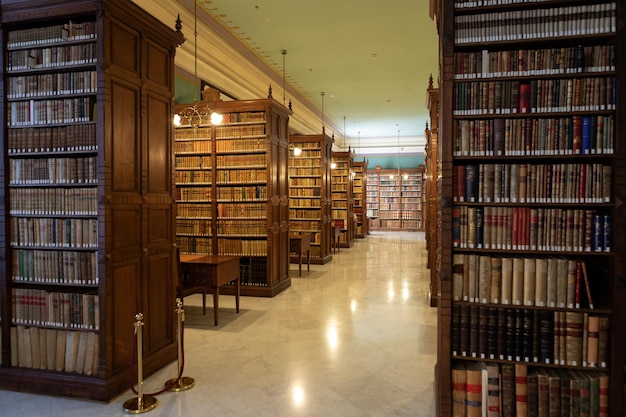 Une bibliothèque avec une grande étagère en bois avec des livres dessus