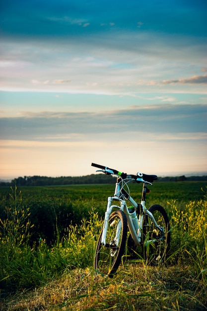 Bicycl se dresse dans le champ vert rural le soir d'été Aventure à vélo et loisirs d'été