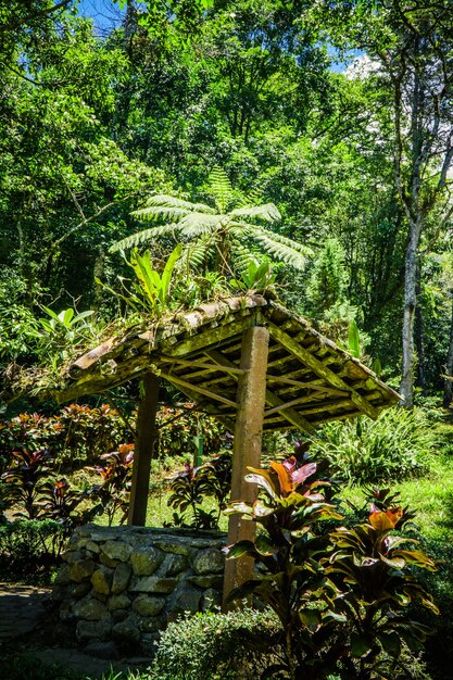 Bien au milieu de la nature avec une dominante verte